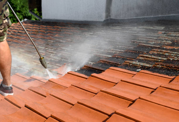 Best Local Pressure Washing Services  in West Lealman, FL