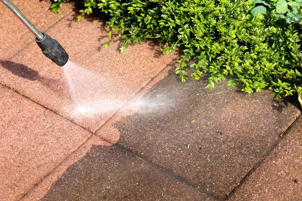 Pressure Washing Brick in West Lealman, FL